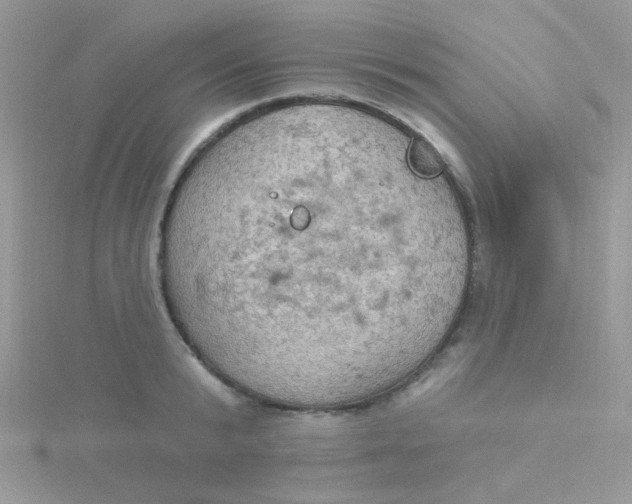 X0000115320799200911231349