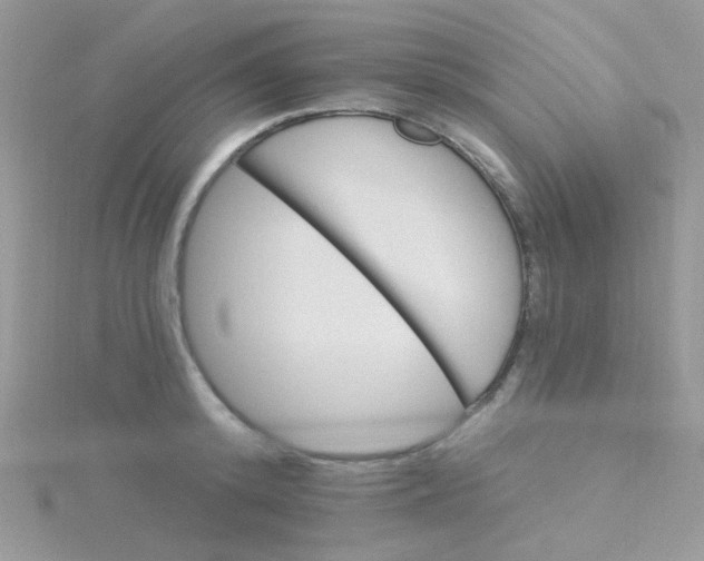 X0000115320800200911231349