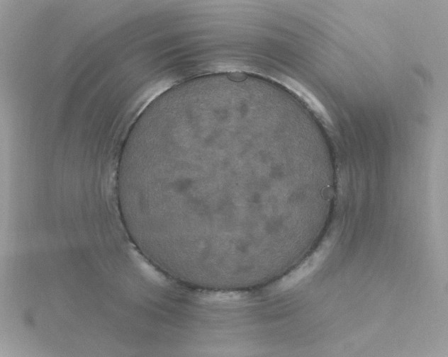 X0000115320801200911231349