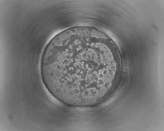 X0000115320803200911231349