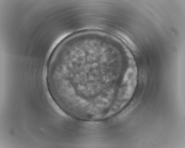 X0000115320804200911231349