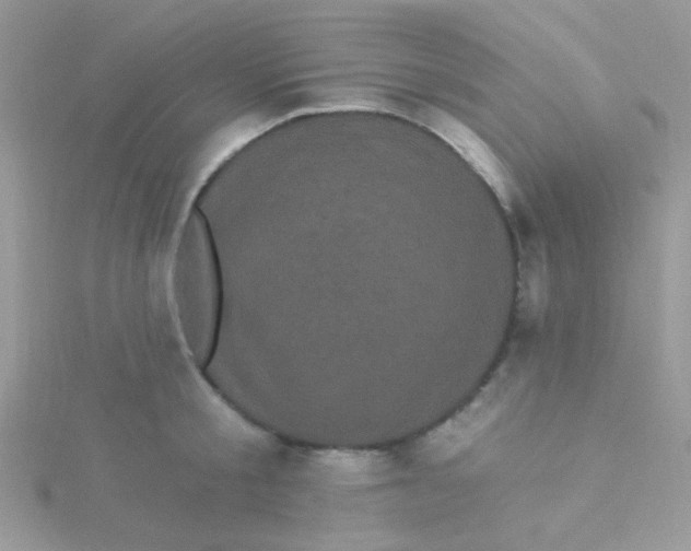 X0000115320805200911231349