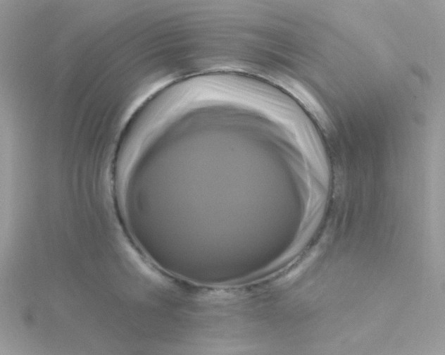 X0000115320806200911231349