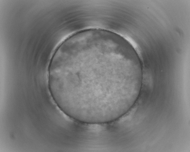 X0000115320807200911231349