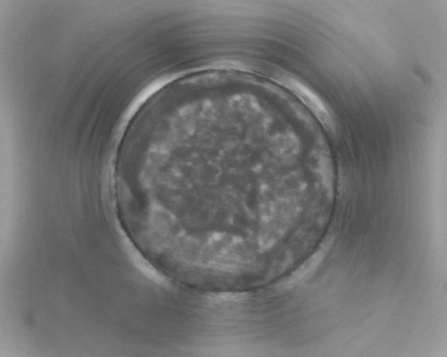 X0000115320808200911231349