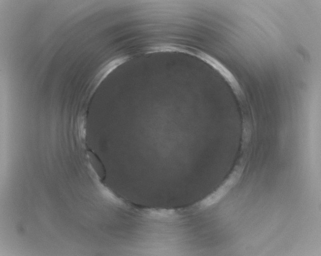 X0000115320809200911231349