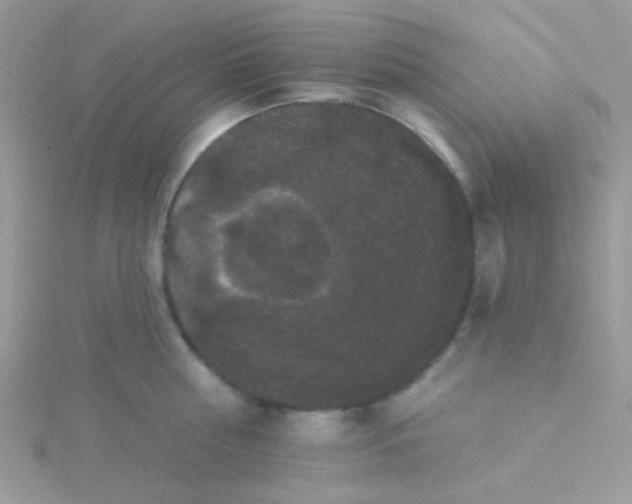 X0000115320810200911231349