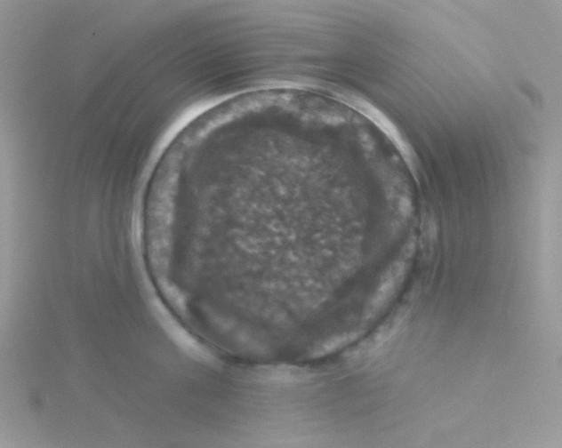 X0000115320811200911231349