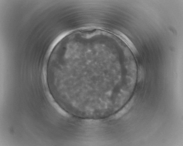 X0000115320812200911231349