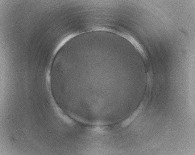 X0000115320814200911231349