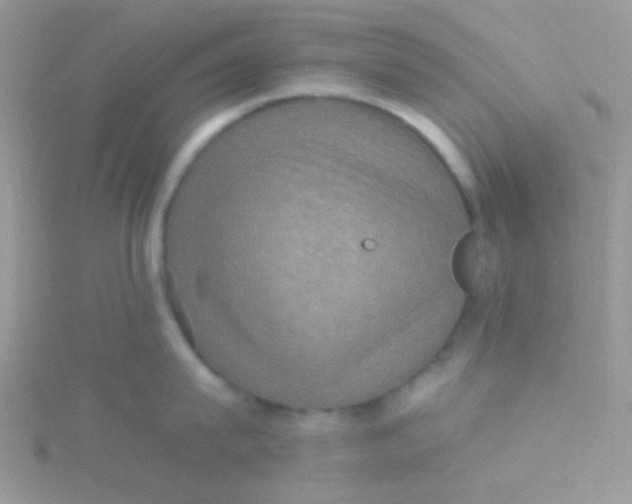 X0000115320815200911231349