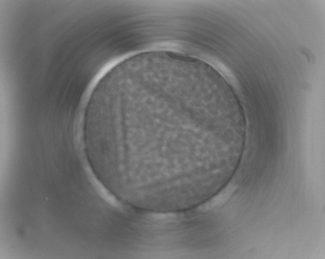 X0000115320816200911231349