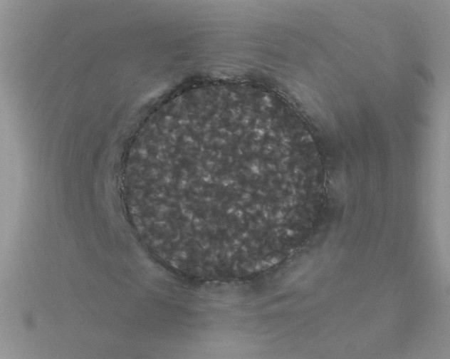 X0000115320817200911231348