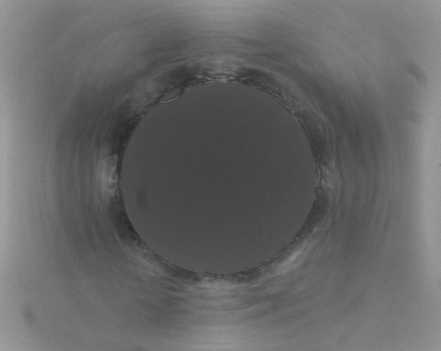 X0000115320818200911231348