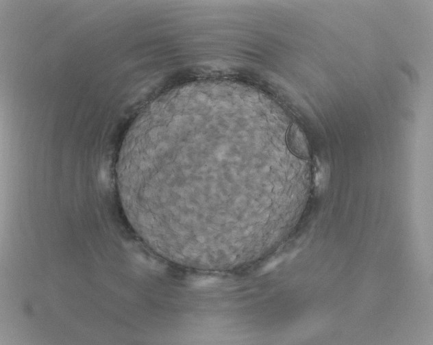 X0000115320819200911231348