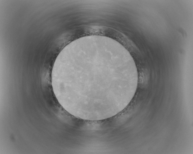 X0000115320820200911231348