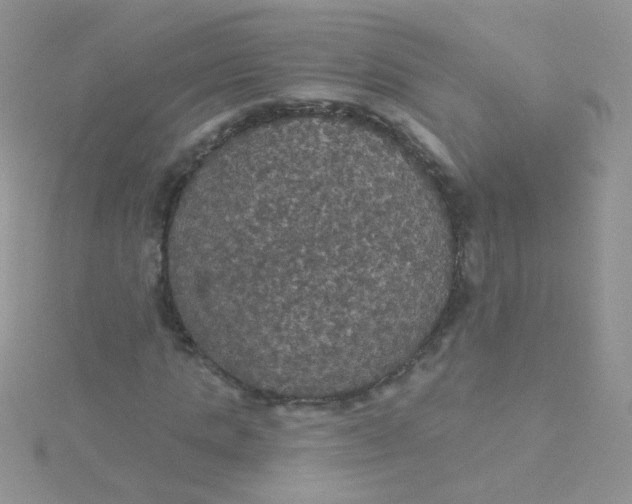 X0000115320821200911231348