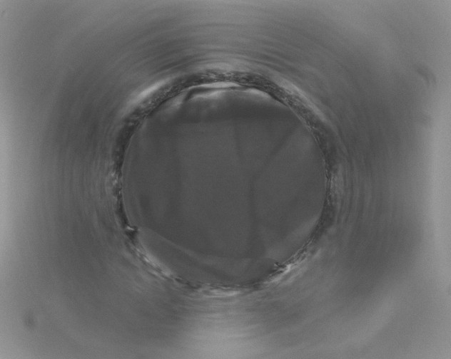 X0000115320822200911231348