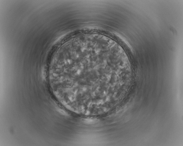 X0000115320823200911231348