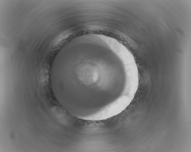 X0000115320824200911231348