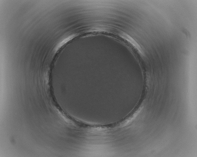 X0000115320826200911231348