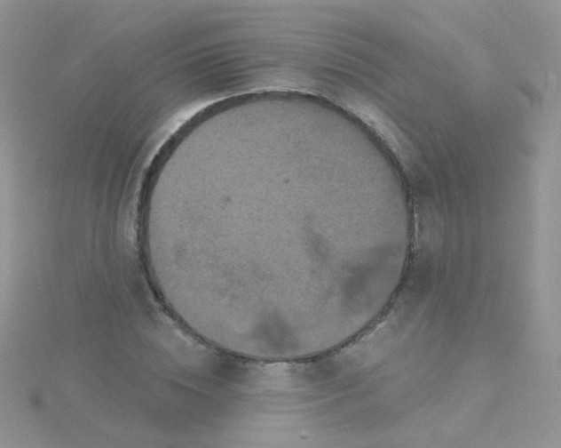 X0000115320828200911231348