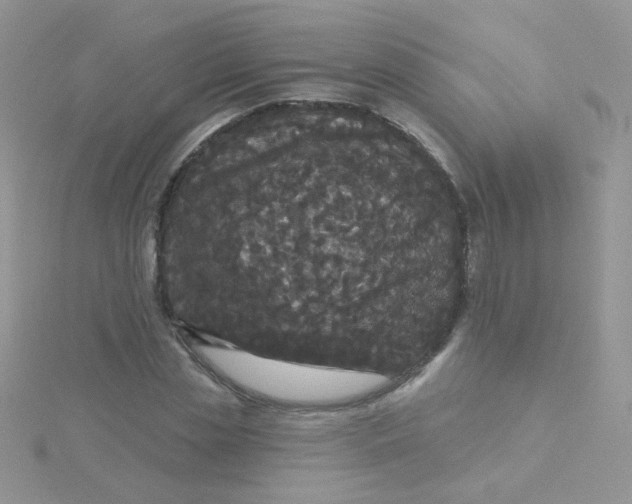 X0000115320829200911231348