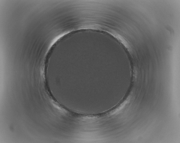 X0000115320830200911231348