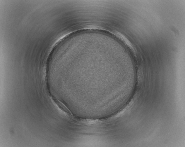 X0000115320831200911231348