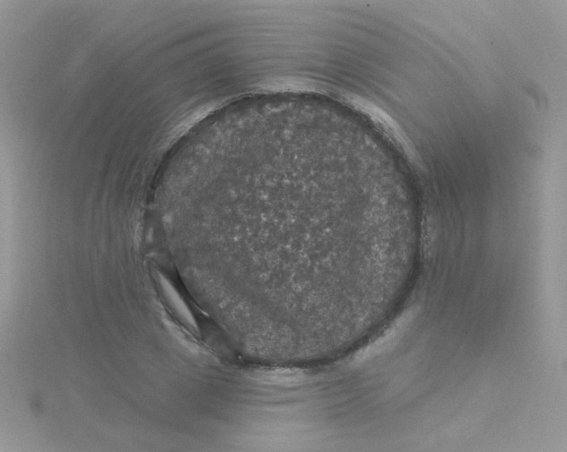 X0000115320833200911231348