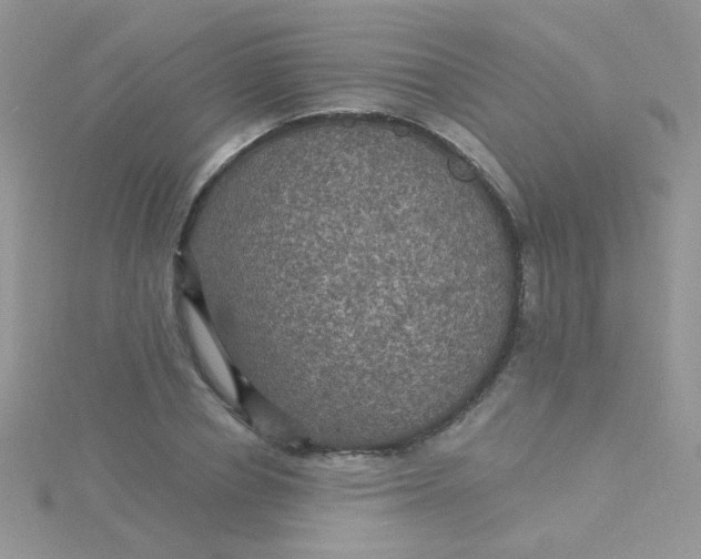 X0000115320834200911231348