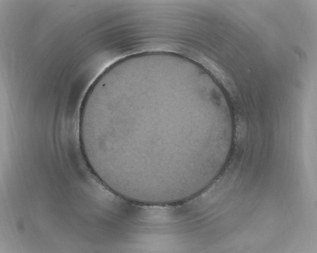 X0000115320836200911231349