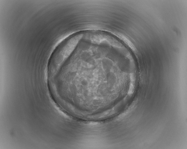 X0000115320839200911231349