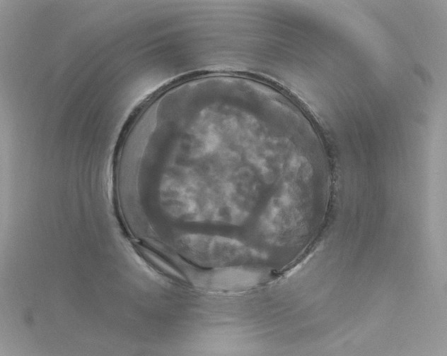 X0000115320840200911231349