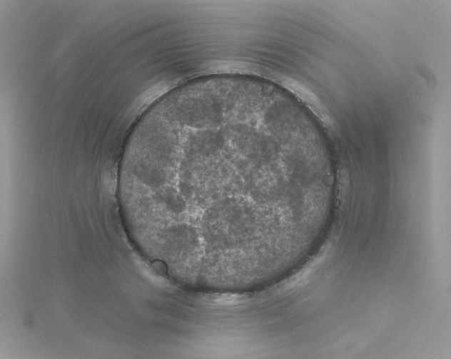 X0000115320841200911231349