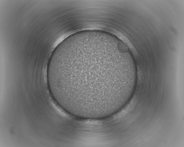 X0000115320842200911231349