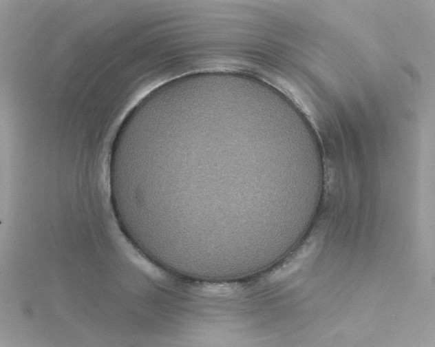 X0000115320843200911231349