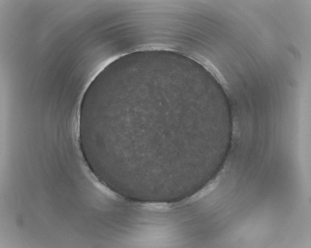 X0000115320844200911231349