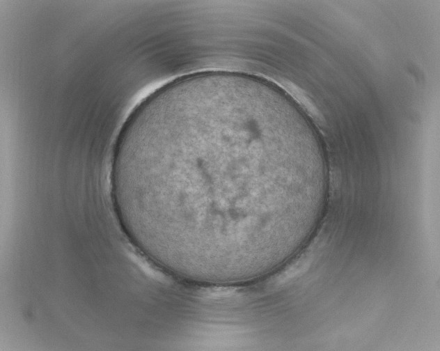 X0000115320846200911231349