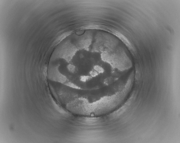 X0000115320849200911231349