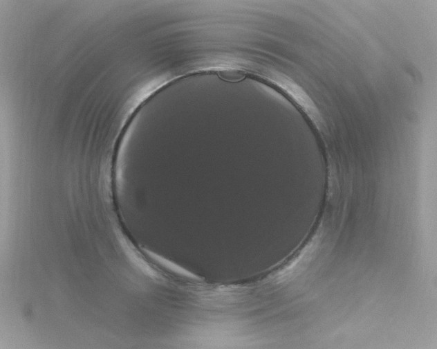 X0000115320850200911231349