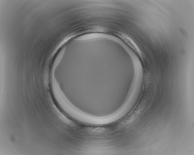 X0000115320851200911231349