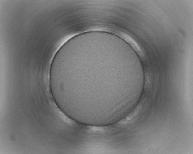 X0000115320852200911231349