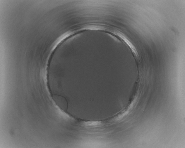 X0000115320853200911231349