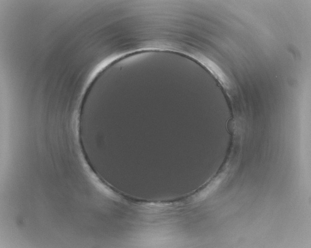 X0000115320854200911231349