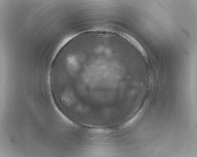 X0000115320855200911231349