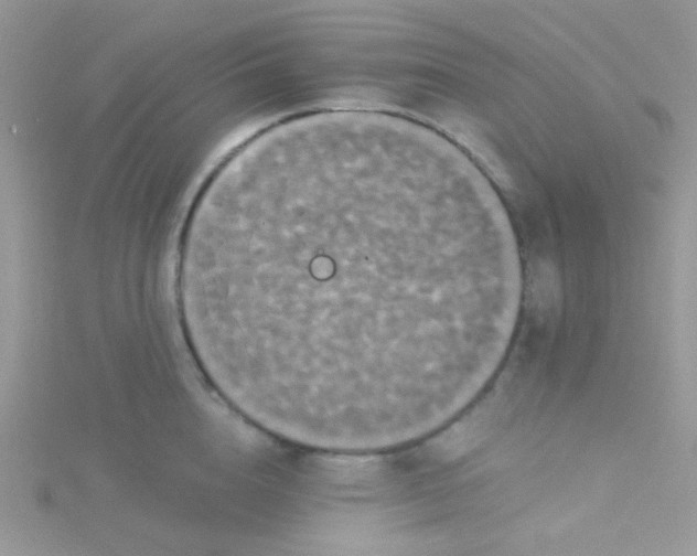 X0000115320856200911231349