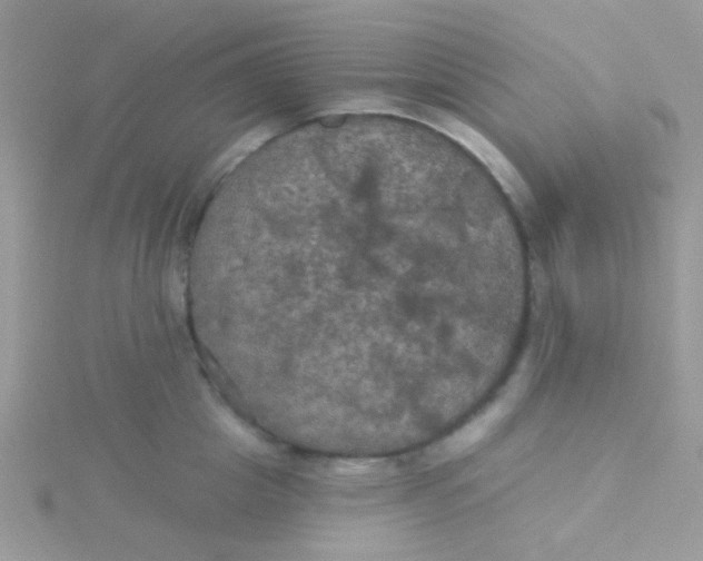 X0000115320857200911231349