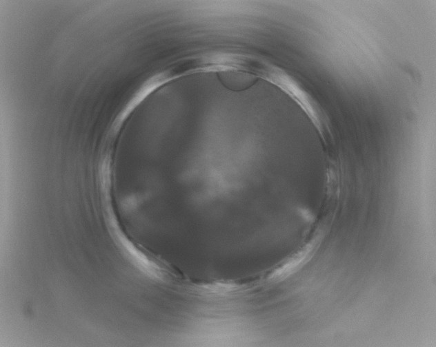 X0000115320859200911231349