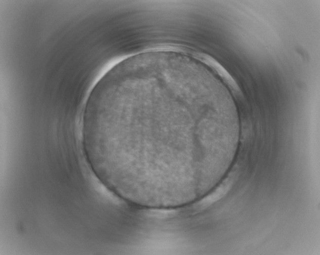 X0000115320860200911231349